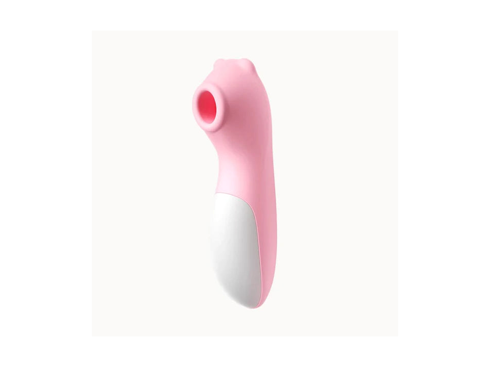 SUCCIONADOR BIGGI USB
