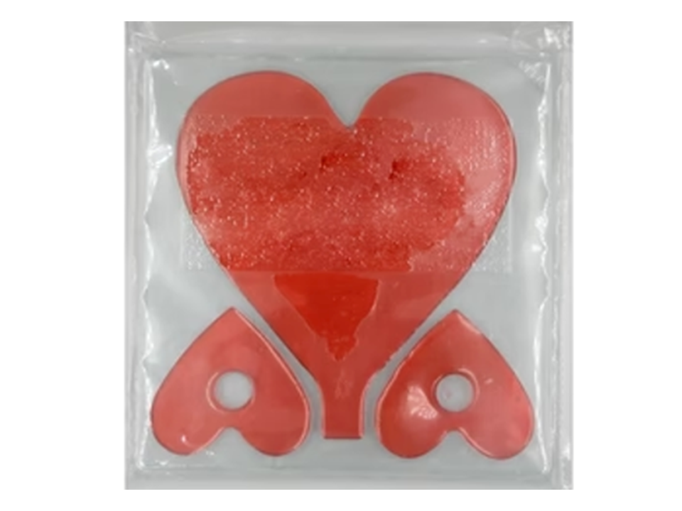 TANGA COMESTIBLE
